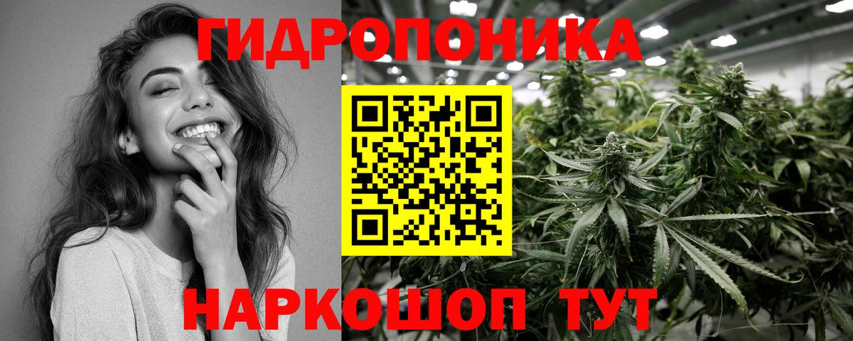 Канабис марихуана  Бошки марихуана планчик  Вход с VPN  Лесозаводск  Бошки Шишки THC 21% 
